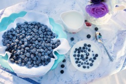 blueberries-1576409